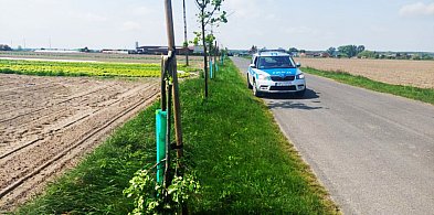 Mówią, że nie wiedzą, czemu to zrobili. Został tylko wstyd i mandaty do zapłacenia-80792
