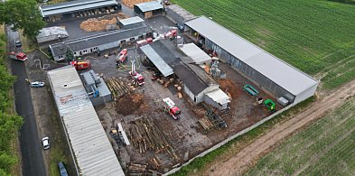 Nikogo nie było, a drewno stanęło w płomieniach. Pierwsi zareagowali ...-80809