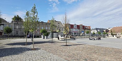Suche badyle zamiast zieleni? Od razu przykuły uwagę mieszkańców Gostynia-80975