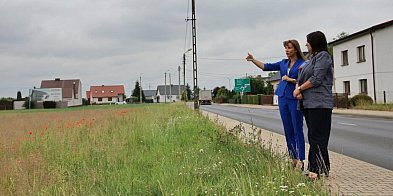 Brakuje już tylko firmy, bo jest szansa, że ...-81014