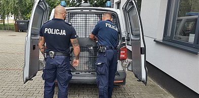 Siał postrach na Osiedlu Tysiąclecia w Gostyniu. Miarka się jednak przebrała...-81335