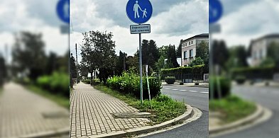 Czytelniczka alarmuje!  Jedynie co widać, to autobus lub ciężarówkę, bo mają...-81344
