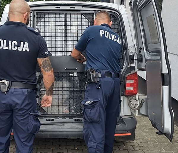 Siał postrach na Osiedlu Tysiąclecia w Gostyniu. Miarka się jednak przebrała...-81335