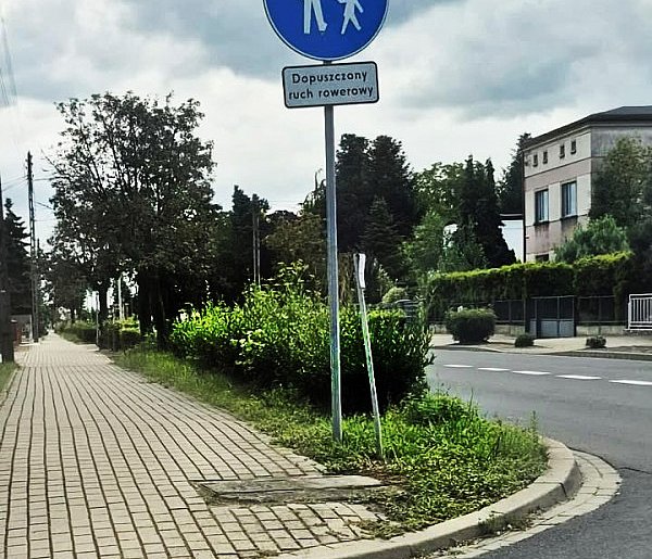 Czytelniczka alarmuje!  Jedynie co widać, to autobus lub ciężarówkę, bo mają...-81344