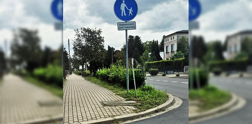 Czytelniczka alarmuje!  Jedynie co widać, to autobus lub ciężarówkę, bo mają... - 81344
