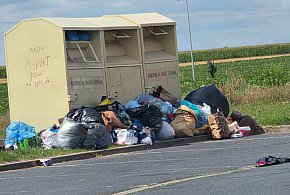 Pojechał zrobić zakupy, zastał taki widok. Wygląda jak "śmieciowa wizytówka"...-81492