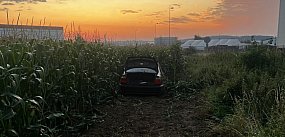 Nocna jazda zakończona w polu kukurydzy. Otwarte drzwi,