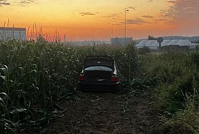 BMW porzucone w polu kukurydzy! Bez tablic, bez kierowcy. Kosztowna brawura-81825