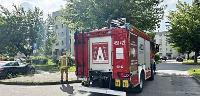 Trójka małych dzieci bawiła się na parapecie. Ich mama spała...-81820