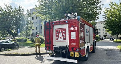 Trójka małych dzieci bawiła się na parapecie. Ich mama spała...-81820