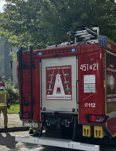 Trójka małych dzieci bawiła się na parapecie. Ich mama spała...-81820