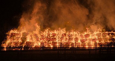 Ogromny pożar za halą jeździecką...  Przyczyną mogło być podpalenie-81846