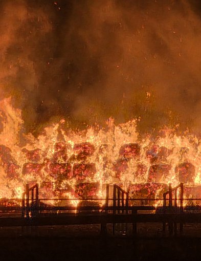 Ogromny pożar za halą jeździecką...  Przyczyną mogło być podpalenie-81846