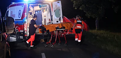 Samochód uderzył w drzewo, kierowca nie przeżył. Miał cofnięte...-81875