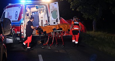 Samochód uderzył w drzewo, kierowca nie przeżył. Miał cofnięte...-81875