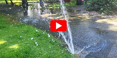 Monitoring ujawnił prawdę o zalanych Plantach. To ...-81914