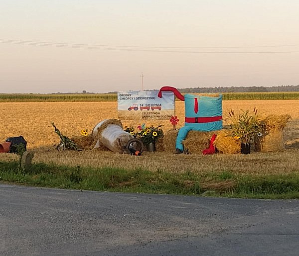Sołectwo nie przebiera w słowach... Pozdrawiają ich środkowym palcem!-81961