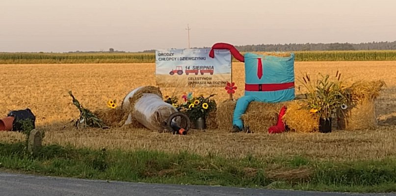 Sołectwo nie przebiera w słowach... Pozdrawiają ich środkowym palcem! - 81961