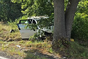 Samochód, którym jechali uderzył w drzewo. Do szpitala trafił 14-latek-82010