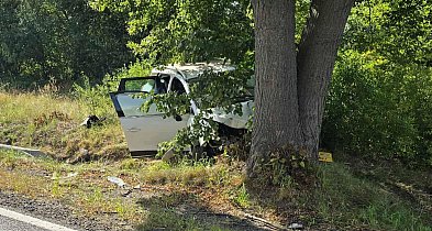 Samochód, którym jechali uderzył w drzewo. Do szpitala trafił 14-latek-82010