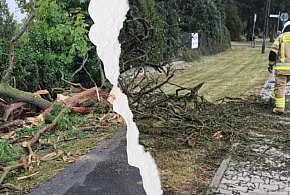 Wczorajsza burza nad powiatem! Drzewa łamały się naporem wiatru. Strażacy...-82144