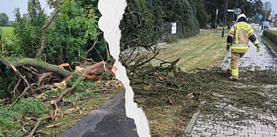 Wczorajsza burza nad powiatem! Drzewa łamały się naporem wiatru. Strażacy...-82144