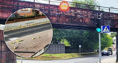 Kierowca ciężarówki staranował wiadukt! Z naczepy posypały się jabłka-82155