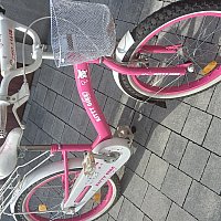 zdjecie ogloszenia