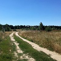 zdjecie ogloszenia