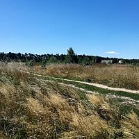 zdjecie ogloszenia