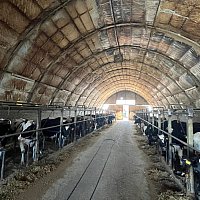zdjecie ogloszenia