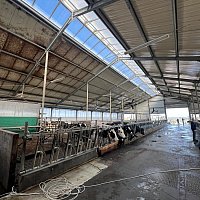 zdjecie ogloszenia