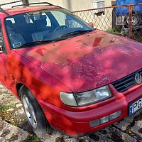 zdjecie ogloszenia