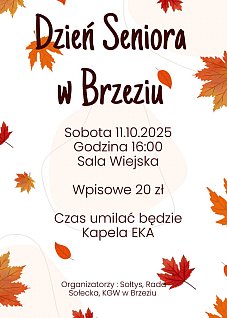 Dzień Seniora w Brzeziu