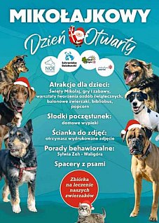 Mikołajkowy Dzień Otwarty w Schronisku Dalabuszki