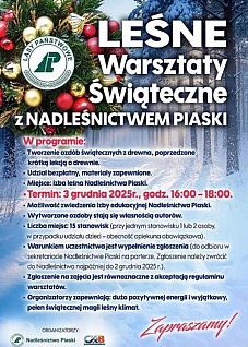 LEŚNE Warsztaty Świąteczne z Nadleśnictwem Piaski