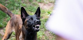 Ten apel biegaczki wywołał burzę w sieci! "Strach ...