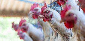 Zagrożenie rośnie! Na liście są konkretne miejscowości