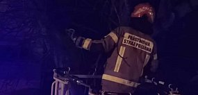 Utknął wysoko i nie mógł zejść. Wtedy pojawili się oni