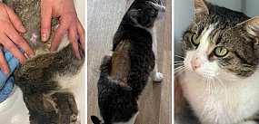 Kiedy okrucieństwo staje się zabawą, a człowiek...