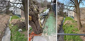 Tym razem obyło się bez sankcji. Właściciele posesji...