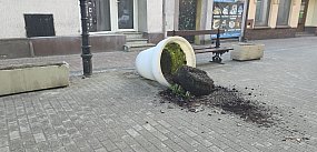 Ziemia wysypana, rośliny zniszczone. Czytelnik...