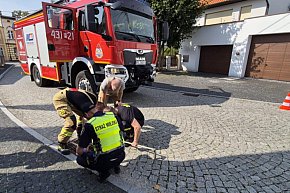 Ratowanie królika ze studzienki w centrum Gostynia-13455