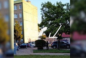 Obsceniczne zachowanie na jednym z osiedli? Miał to robić przy dzieciach-82575