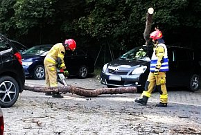 Drzewo runęło na samochód! To nie była pierwsza taka sytuacja przy basenie-82596