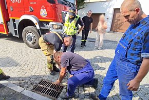 Zniknął nagle, kilka dni temu. Znaleźli go niedaleko domu... w studzience!-82669