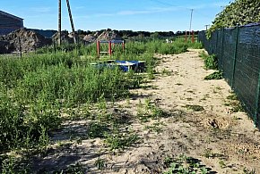 "Wysypali gruz, zarosło chwastami" - alarmuje czytelnik. Sołtys wyjaśnia...-82986