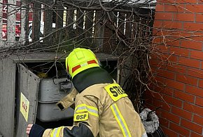 Alarm w centrum Pępowa! Straż pożarna wskazuje że to mógł być zakład mięsny-83960