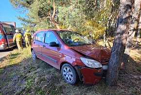 Auto rozbite o drzewo! Kierująca mogła doznać ataku... W akcji wszystkie służby-84119