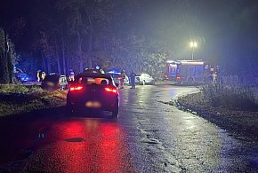 Poważne zdarzenie kryminalne w powiecie! Wszędzie pełno policyjnych...-84200